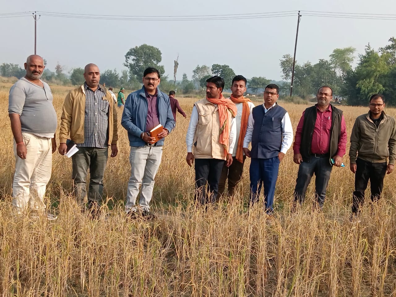 दरभंगा, तारडीह प्रखंड: क्राप कटिंग दौरान खेत में अधिकारी।