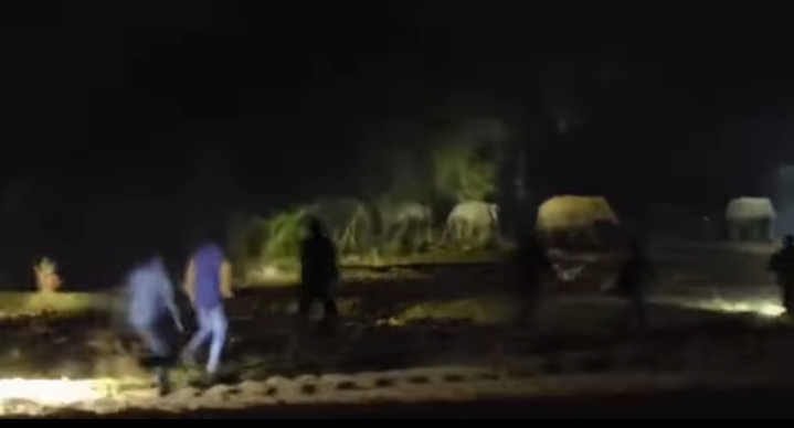 टॉर्च और मशाल लेकर हाथियों को खदेड़ते ग्रामीण