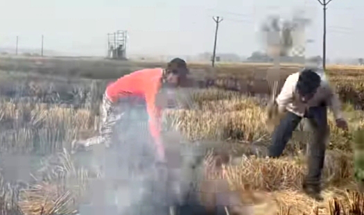 पराली बुझाते ग्रामीण पश्चिम मेदिनीपुर पराली बुझाते ग्रामीण पश्चिम मेदिनीपुर