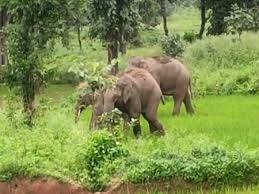 फाइल फोटो