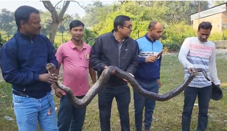 बरामद अजगर के साथ पर्यावरणविद