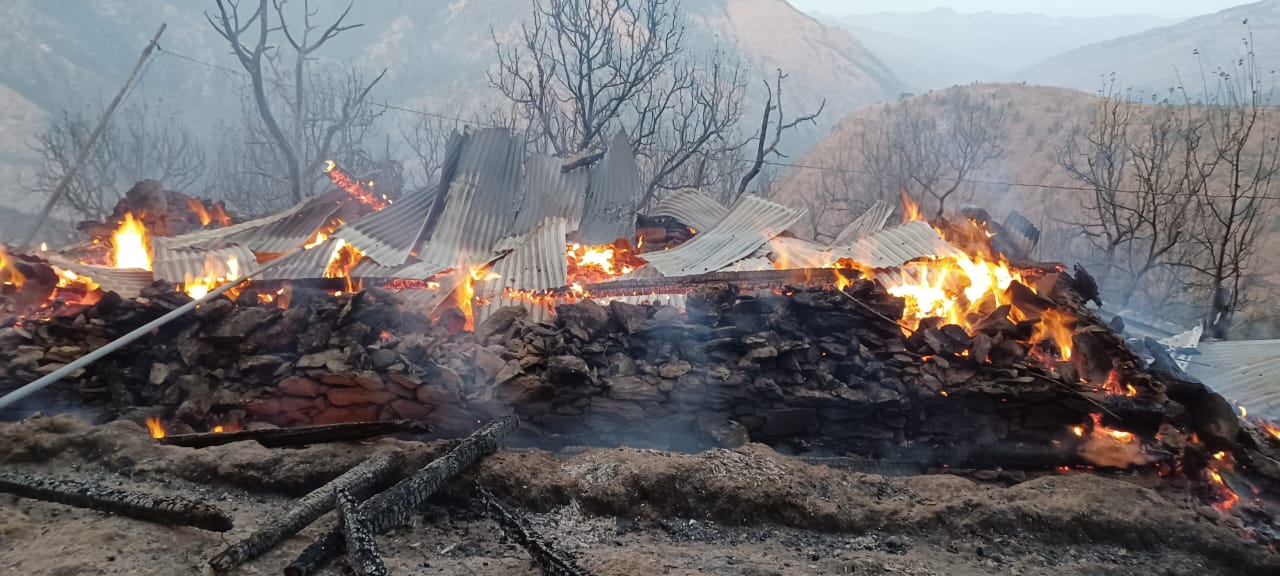 आगजनी में चार बकरियां समेत 15 मुर्गें जिंदा जले आगजनी में चार बकरियां समेत 15 मुर्गें जिंदा जले