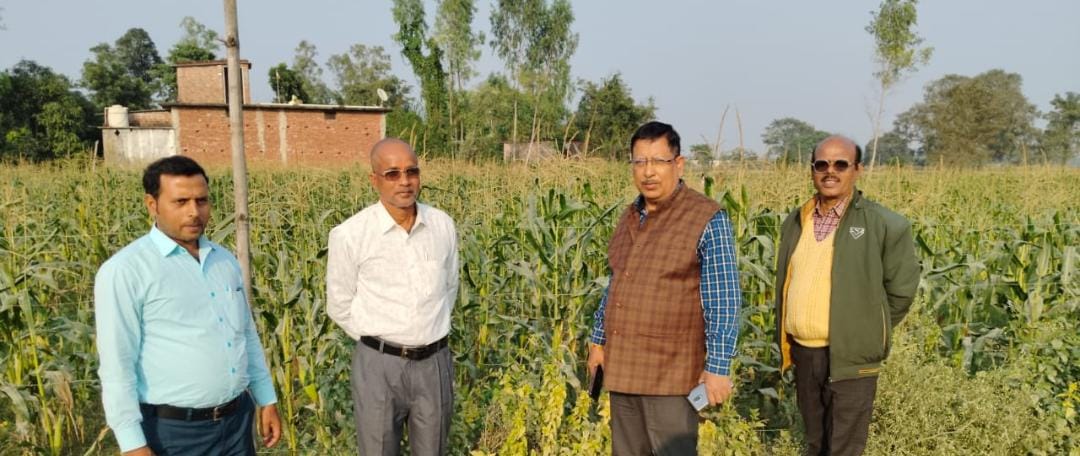 *योगी सरकार के त्वरित मक्का विकास कार्यक्रम के सामने आ रहे शानदार नतीजे*