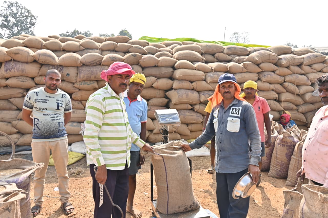 धान की तौलाई करते हुए किसान.