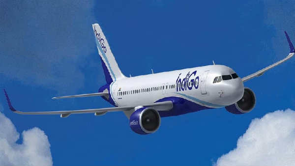 इंडिगो इंडिगो