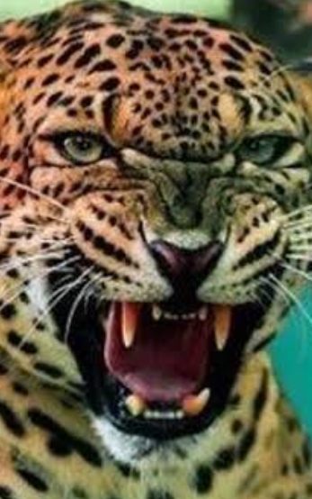 प्रतीकात्मक चित्र. प्रतीकात्मक चित्र.