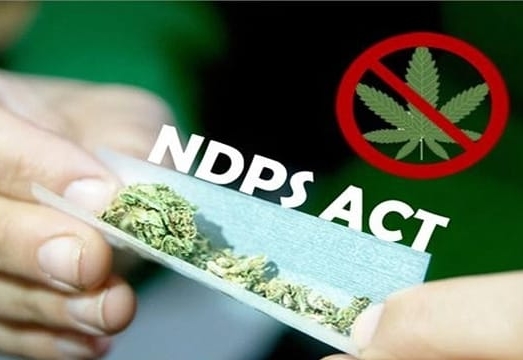 NDPS ACT