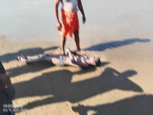 निकाले गए शव