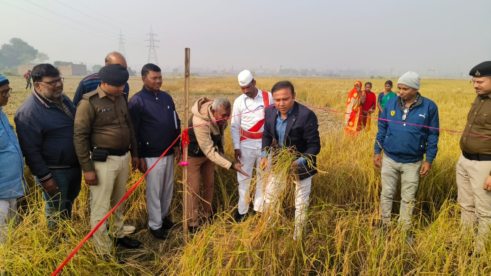 धान काटते जिलाधिकारी