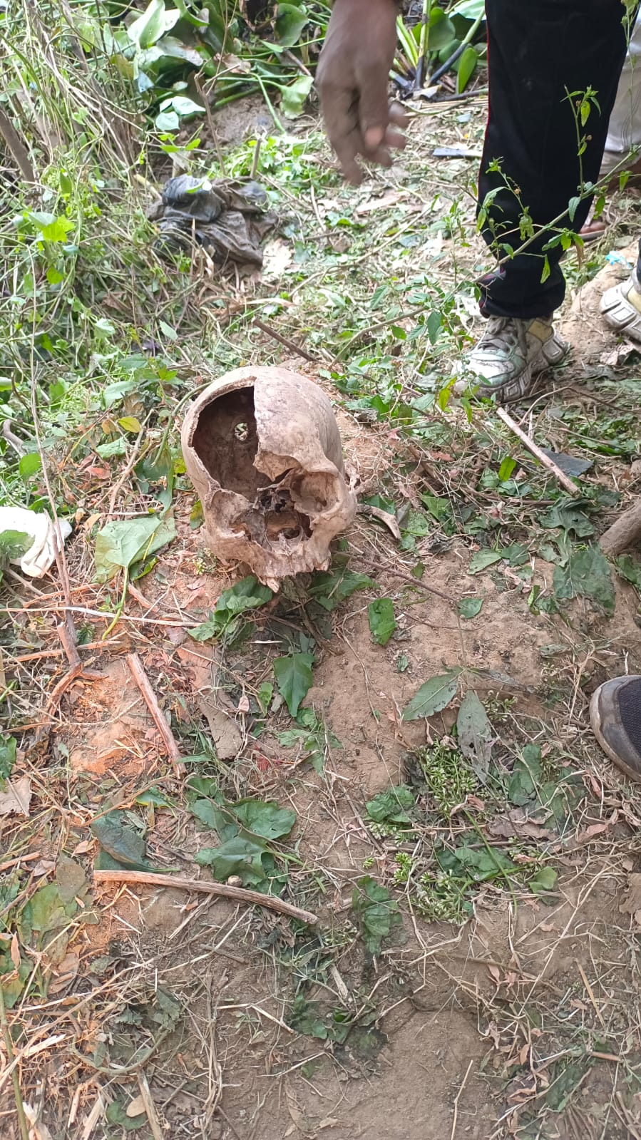 बरामद खोपड़ी