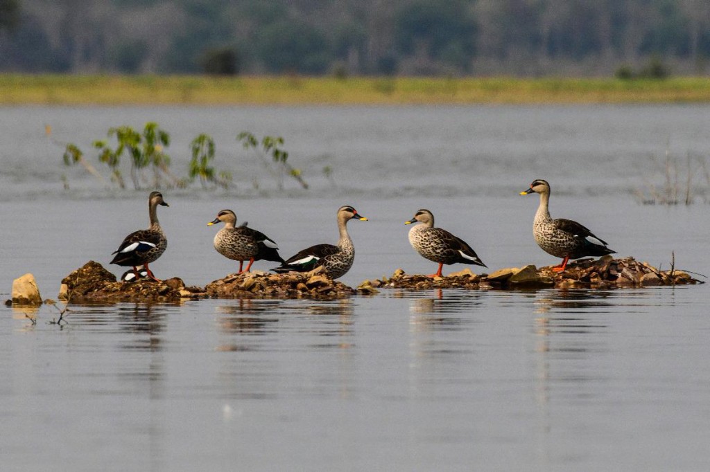 अलवर स्थित