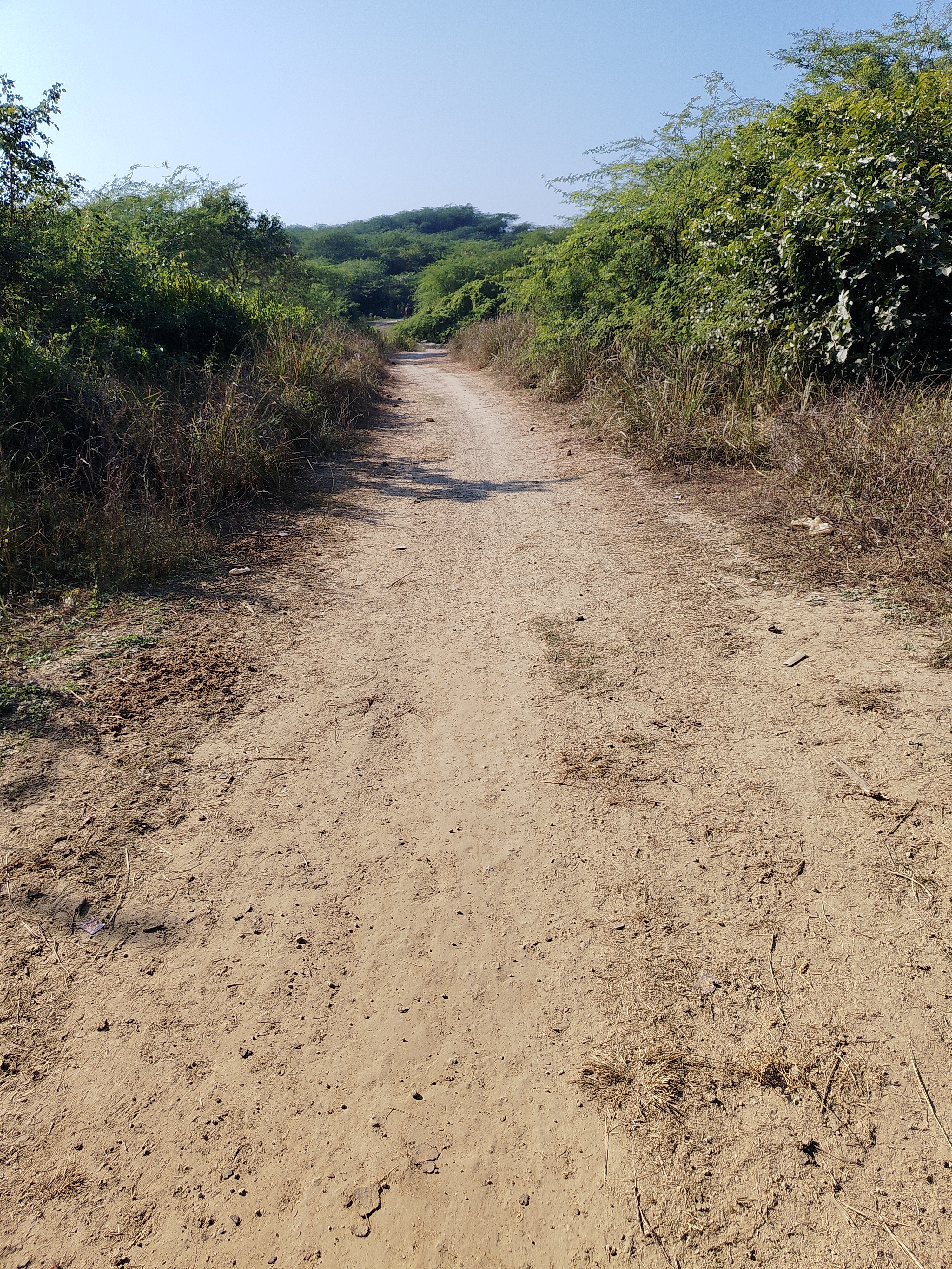 फोटो फोटो