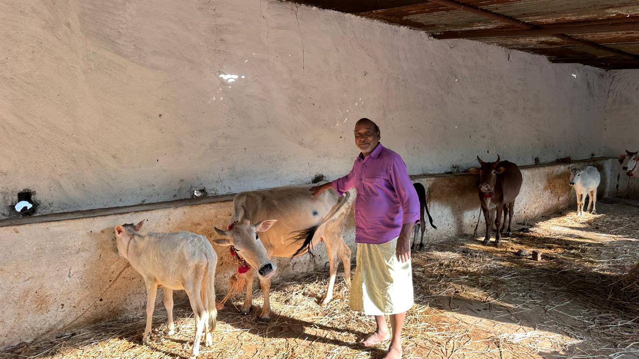 मनरेगा से बदली जिंदगी: हितग्राही को मिला सुरक्षित मवेशी आश्रयस्थल
