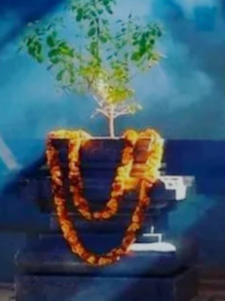 फाइल फोटो तस्वीर