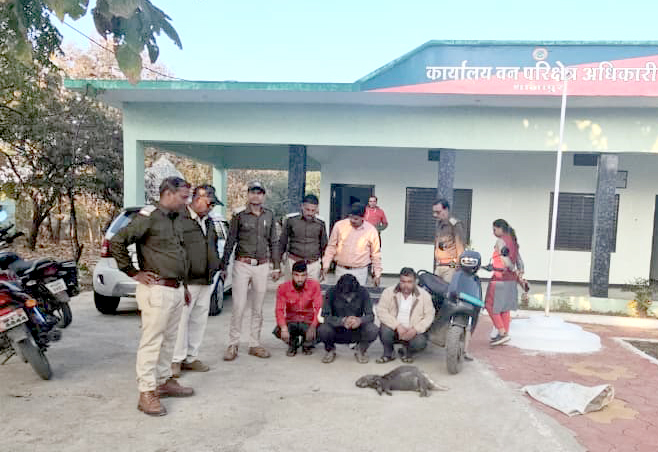 मृत सेही के साथ गिरफ्त में आए आरोपी।