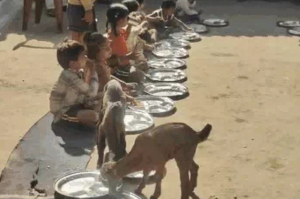 कटनी : बच्चों के साथ बकरियां खा रहीं मध्यान्ह भोजन! कलेक्टर ने दिए जांच के निर्देश कटनी : बच्चों के साथ बकरियां खा रहीं मध्यान्ह भोजन! कलेक्टर ने दिए जांच के निर्देश
