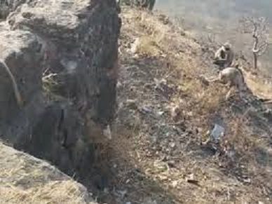 मप्र के महेश्वर में जाम गेट पर पैर फिसलने से बीटेक स्टूडेंट खाई में गिरा मप्र के महेश्वर में जाम गेट पर पैर फिसलने से बीटेक स्टूडेंट खाई में गिरा