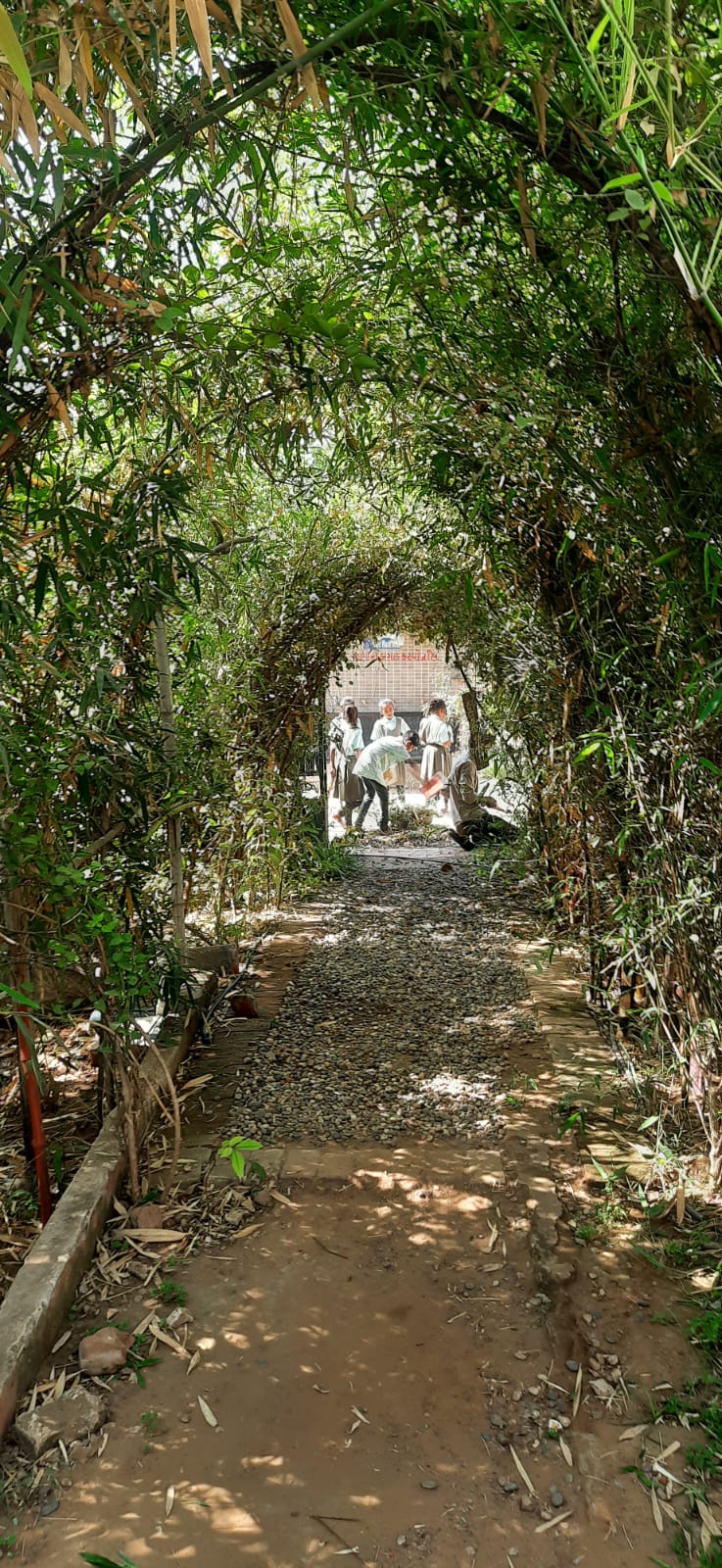 ગાંધીનગરની જીવરાજના મુવાડા પ્રાથમિક શાળા