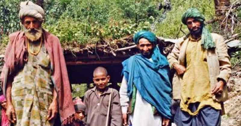 (Muslim Gujjar Rapidly Encroaching on the Forests) उत्तराखंड के जंगलों में मुस्लिम वन गुर्जरों का अवैध कब्जा, सेटेलाइट से सामने  आई तस्वीर - हिन्दुस्थान समाचार