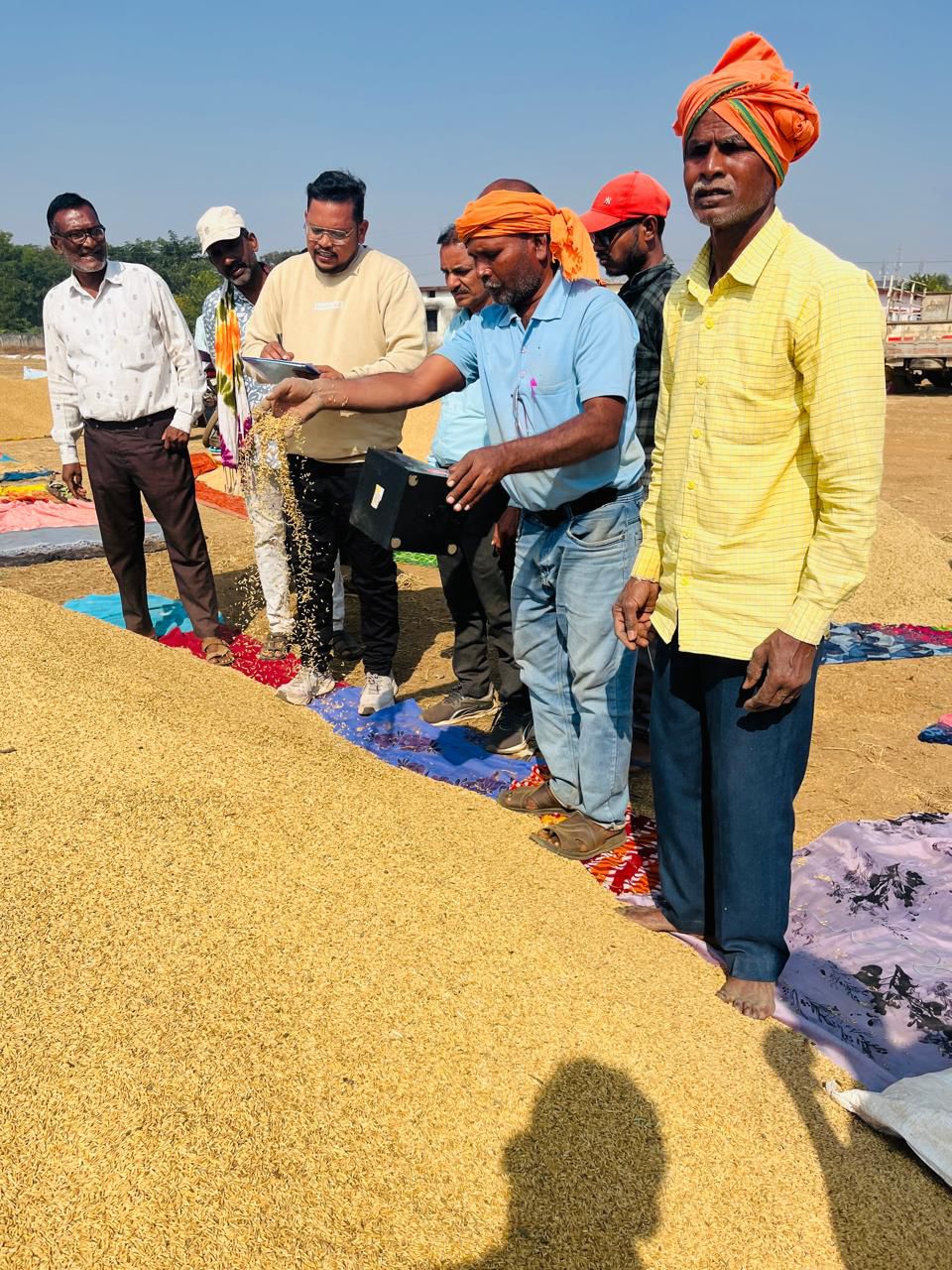 धान की तौलाई करते हुए किसान। धान की तौलाई करते हुए किसान।