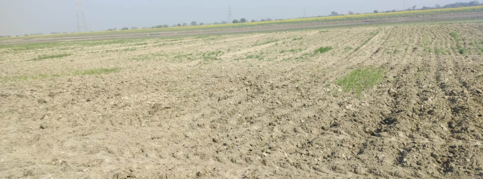 सुल्तानपुर स्थित आरक्षित वन में गैर वानिकी कार्य है पूर्णतया प्रतिबंधित : उपायुक्त डा. हरीश कुमार वशिष्ठ सुल्तानपुर स्थित आरक्षित वन में गैर वानिकी कार्य है पूर्णतया प्रतिबंधित : उपायुक्त डा. हरीश कुमार वशिष्ठ