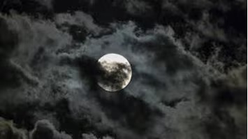 साल की आखिरी अमावस्या 19 दिसम्बर को : दान-पुण्य पर रहेगा जोर साल की आखिरी अमावस्या 19 दिसम्बर को : दान-पुण्य पर रहेगा जोर