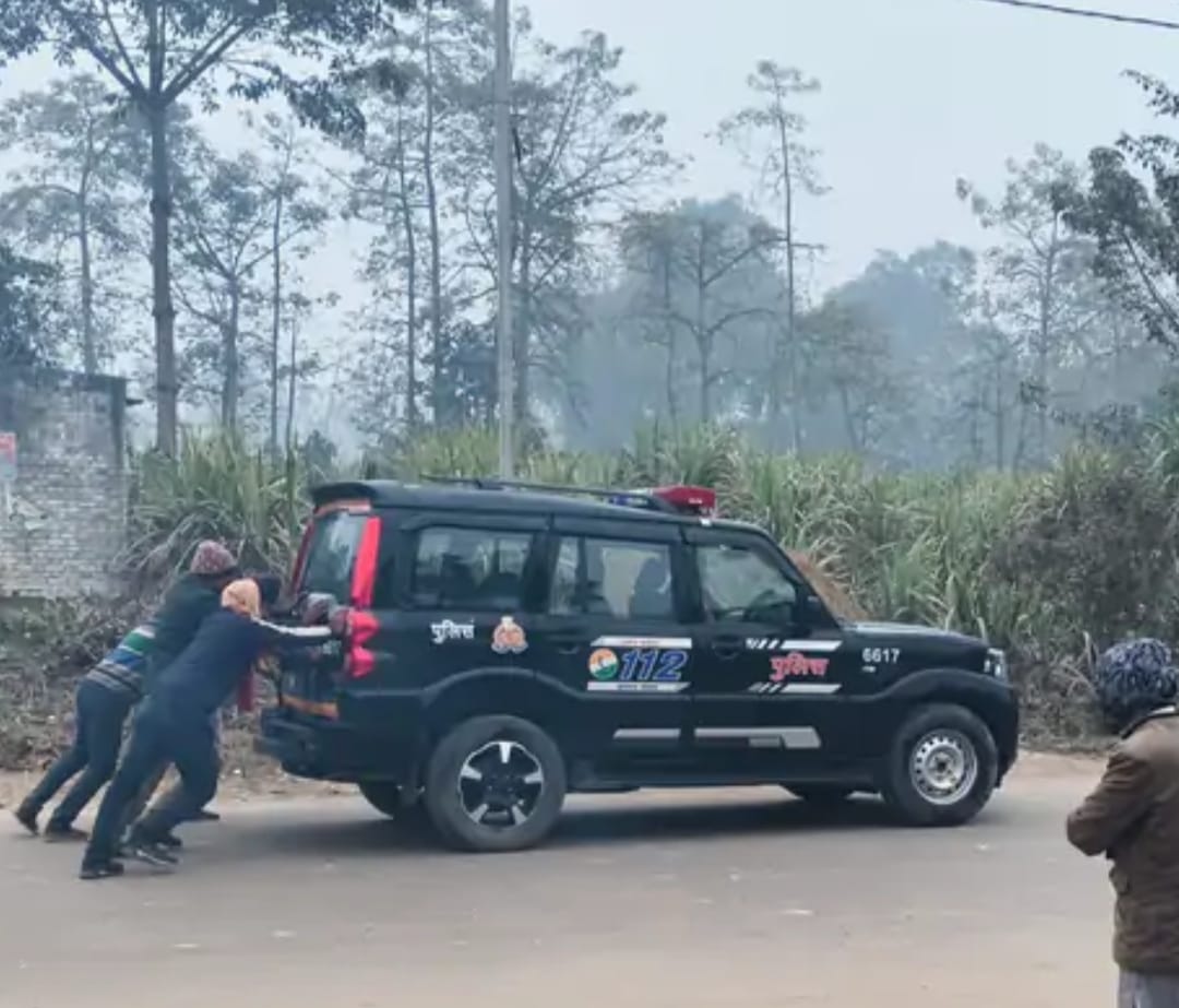 धक्का देते हुए चित्र
