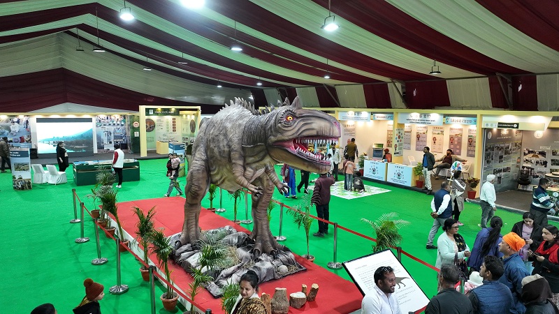 अंतरराष्ट्रीय वन मेला अंतरराष्ट्रीय वन मेला