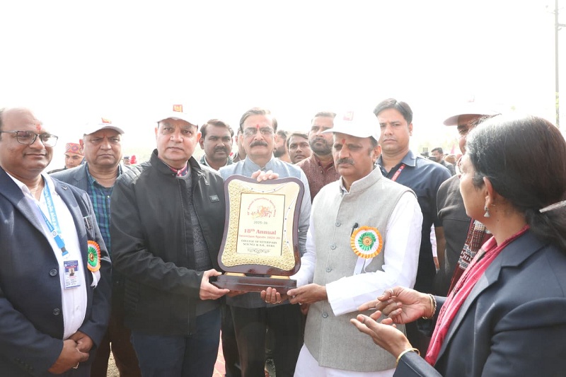 वार्षिक इंटरक्लास खेल प्रतियोगिता वार्षिक इंटरक्लास खेल प्रतियोगिता