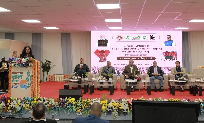 अंतरराष्ट्रीय वन मेला अंतरराष्ट्रीय वन मेला