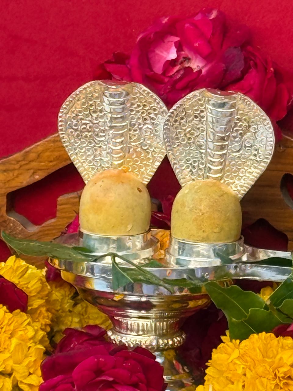 Seoni: Om Namah Shivay will echo in Rajwada, Somnath Jyotirling fragments will be seen in Maha Rudra Puja. Seoni: Om Namah Shivay will echo in Rajwada, Somnath Jyotirling fragments will be seen in Maha Rudra Puja.