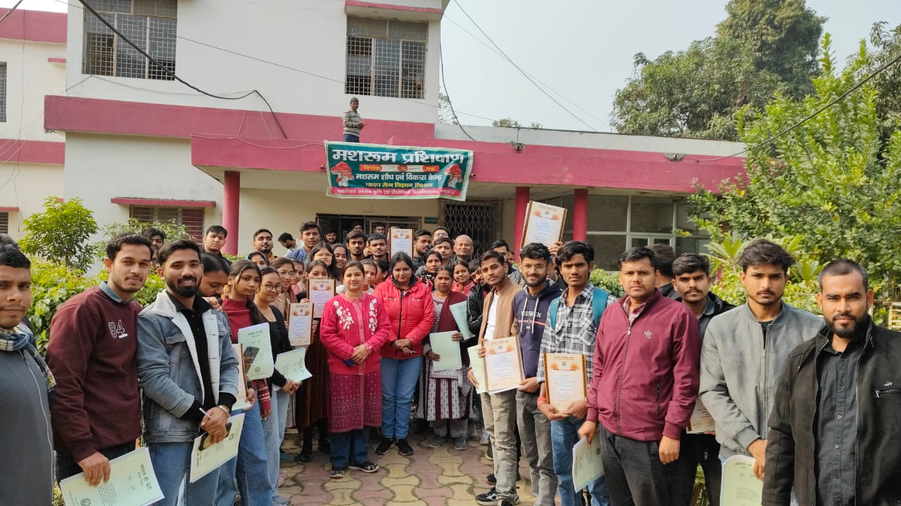 सीएसए के पादप रोग विज्ञान ने छः दिवसीय मशरूम प्रशिक्षण का किया आयोजन, 14 जनपदों के 93 प्रशिक्षणार्थियों ने किया प्रतिभाग सीएसए के पादप रोग विज्ञान ने छः दिवसीय मशरूम प्रशिक्षण का किया आयोजन, 14 जनपदों के 93 प्रशिक्षणार्थियों ने किया प्रतिभाग