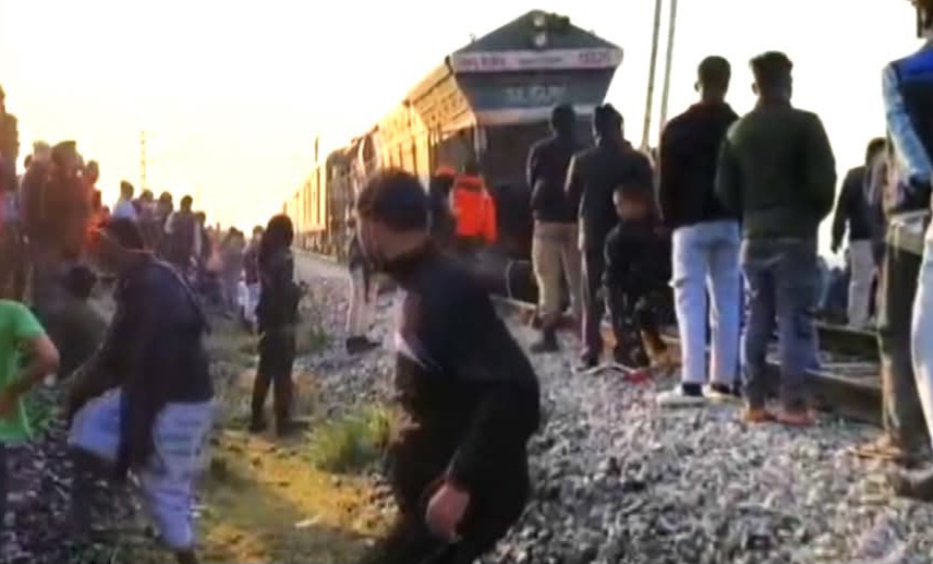 राजधानी एक्सप्रेस के चपेट में आने से सात हाथी की मौत राजधानी एक्सप्रेस के चपेट में आने से सात हाथी की मौत