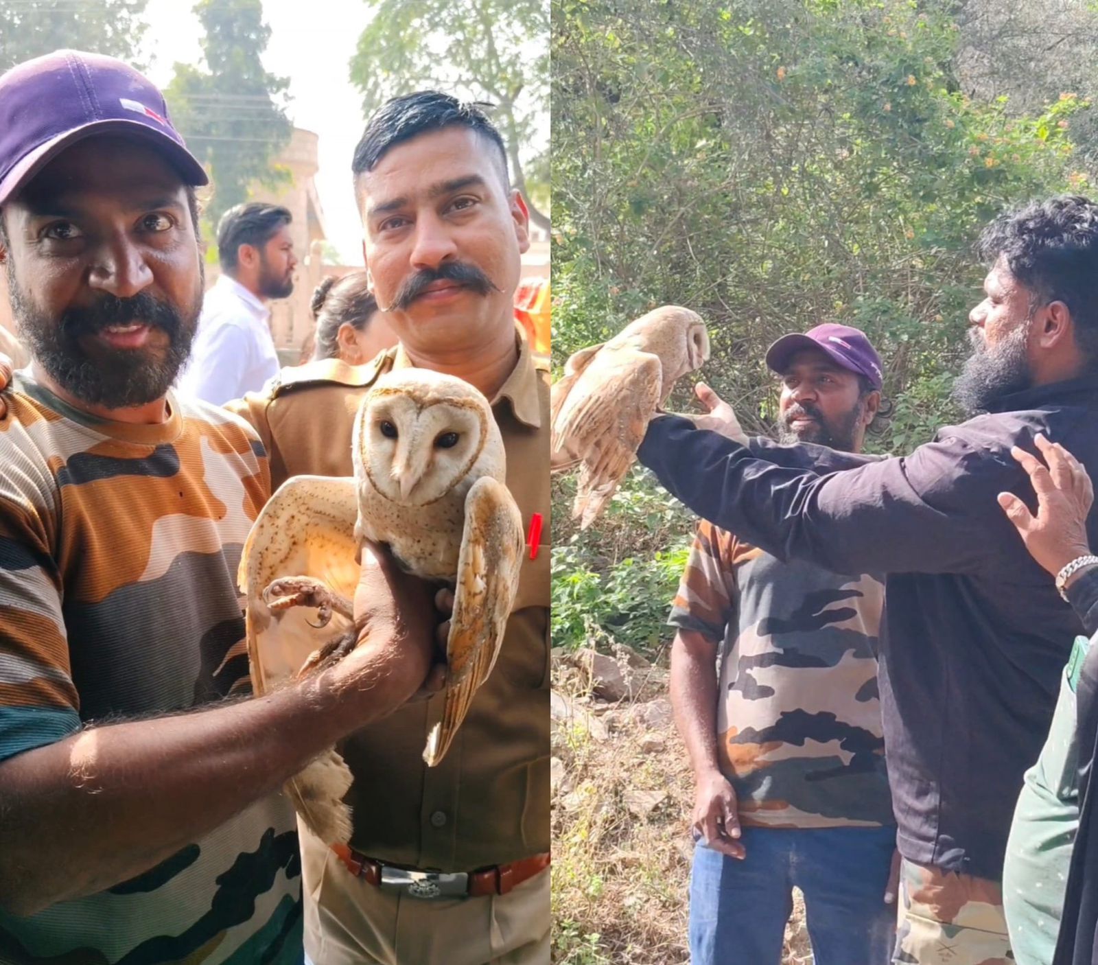 चित्तौड़गढ़ में वन्य जीव प्रेमी की टीम ने किया उल्लू का सुरक्षित रेस्क्यू चित्तौड़गढ़ में वन्य जीव प्रेमी की टीम ने किया उल्लू का सुरक्षित रेस्क्यू