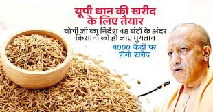 शासन द्वारा जारी किया गया धान खरीद का पोस्टर शासन द्वारा जारी किया गया धान खरीद का पोस्टर