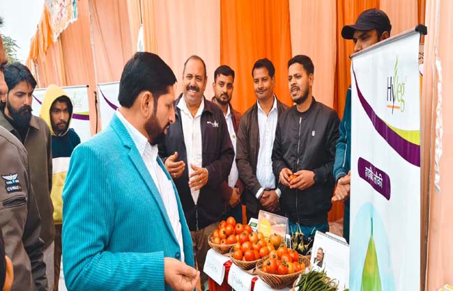 स्टालों का अवलोकन करते मिशन निदेशक जोगेंद्र सिंह. स्टालों का अवलोकन करते मिशन निदेशक जोगेंद्र सिंह.