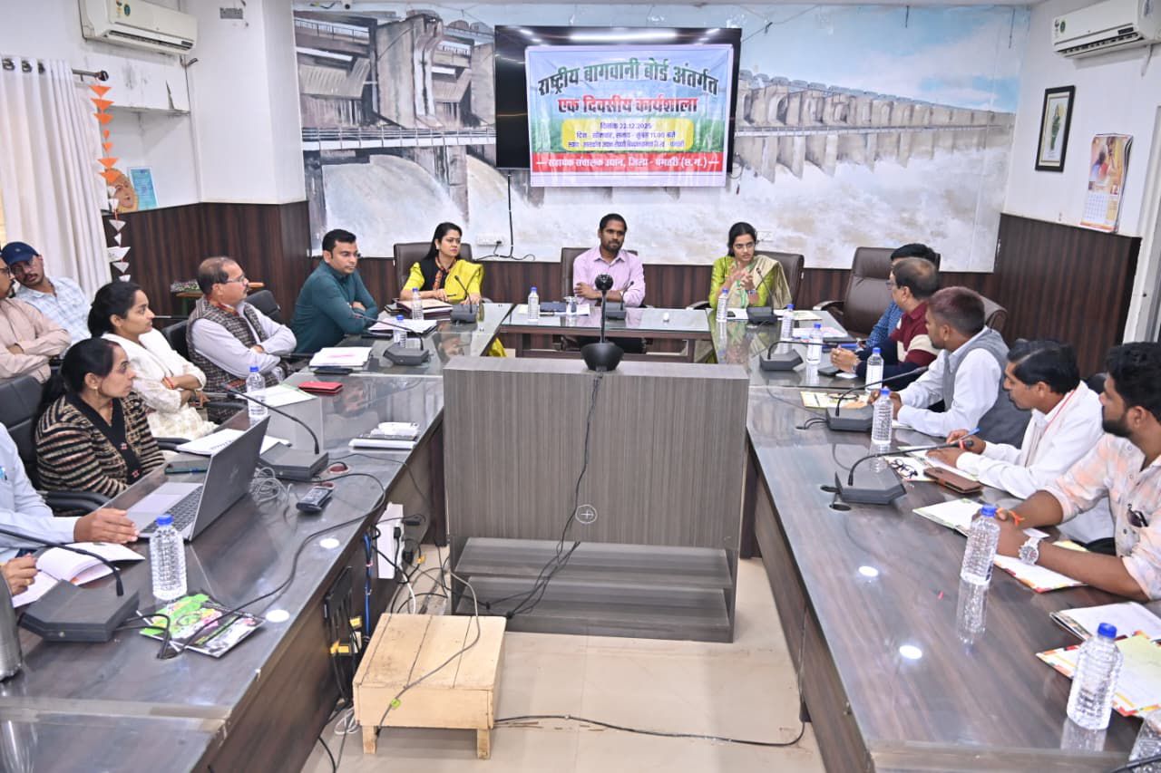 कलेक्ट्रेट में आयोजित बैठक में उपस्थित जिले के अधिकारी कर्मचारी।