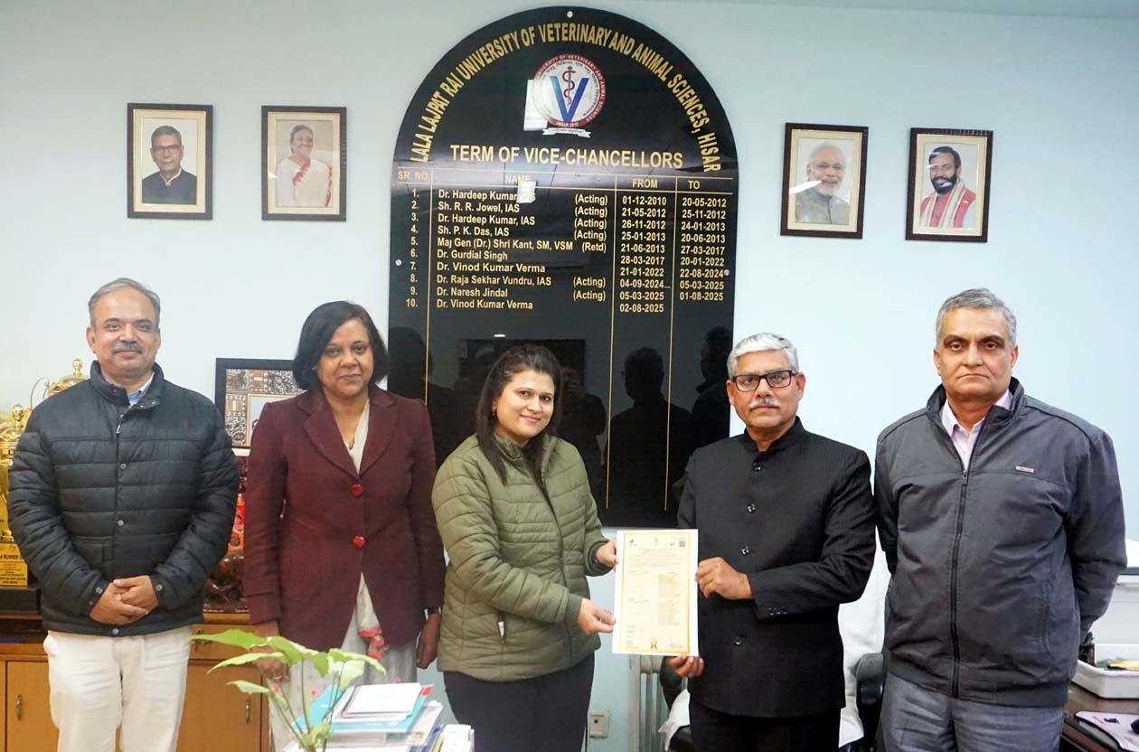 डॉ. अनिता मलिक को सम्मानित करते कुलपति प्रो. विनोद कुमार वर्मा एवं अन्य अधिकारी। डॉ. अनिता मलिक को सम्मानित करते कुलपति प्रो. विनोद कुमार वर्मा एवं अन्य अधिकारी।