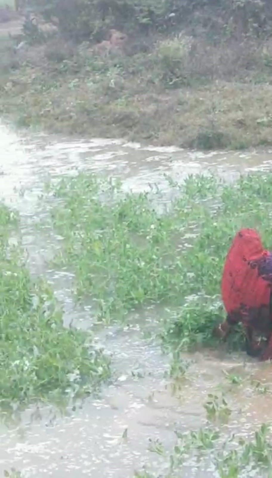 सुमेरपुर कस्बे में बहती गायत्री गंगा नदी सुमेरपुर कस्बे में बहती गायत्री गंगा नदी