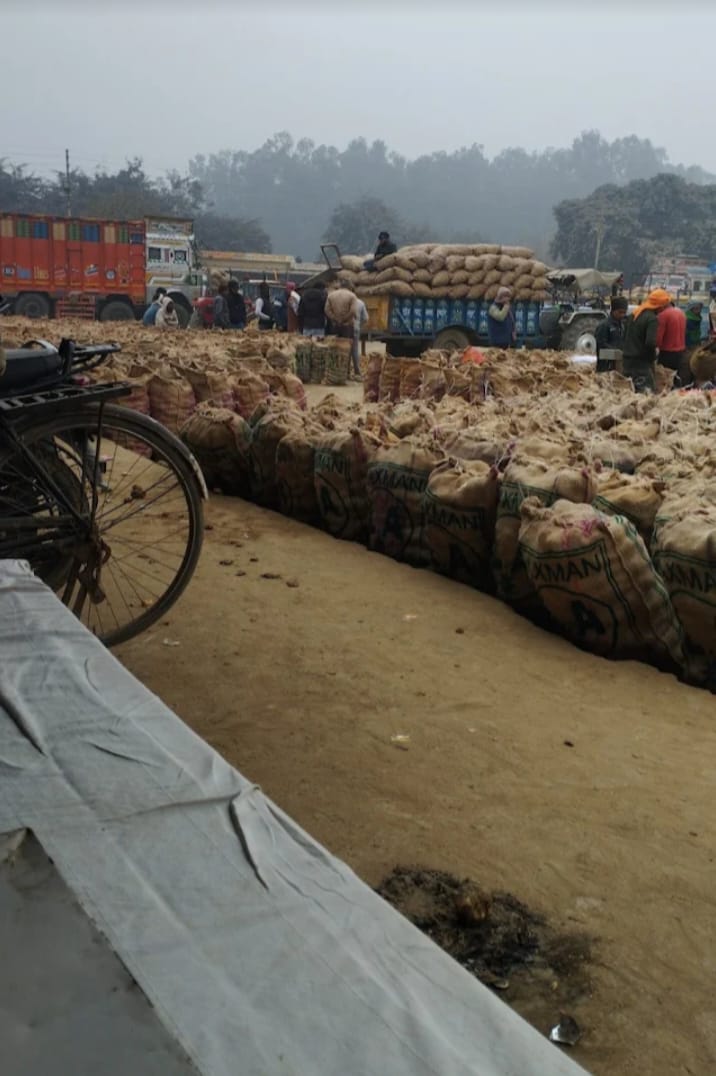 आलू मंडी सातनपुर