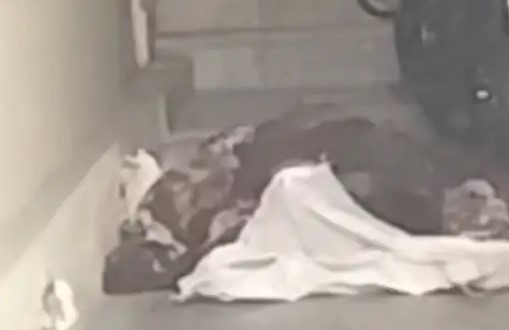 जयपुर हत्या