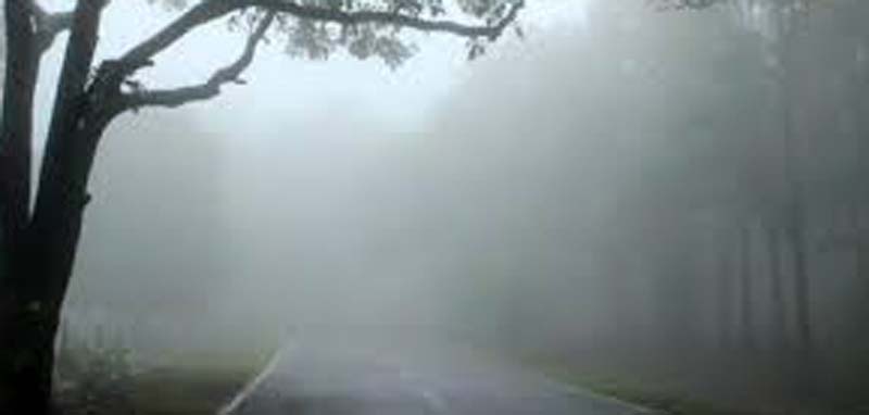 घने कोहरे से ढकी सड़क मार्ग फाइल फाेटाे