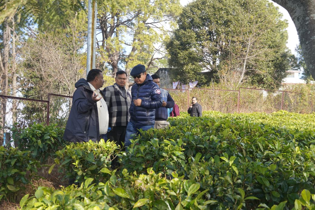 चाय बगान का निरीक्षण करते पर्यटन सचिव