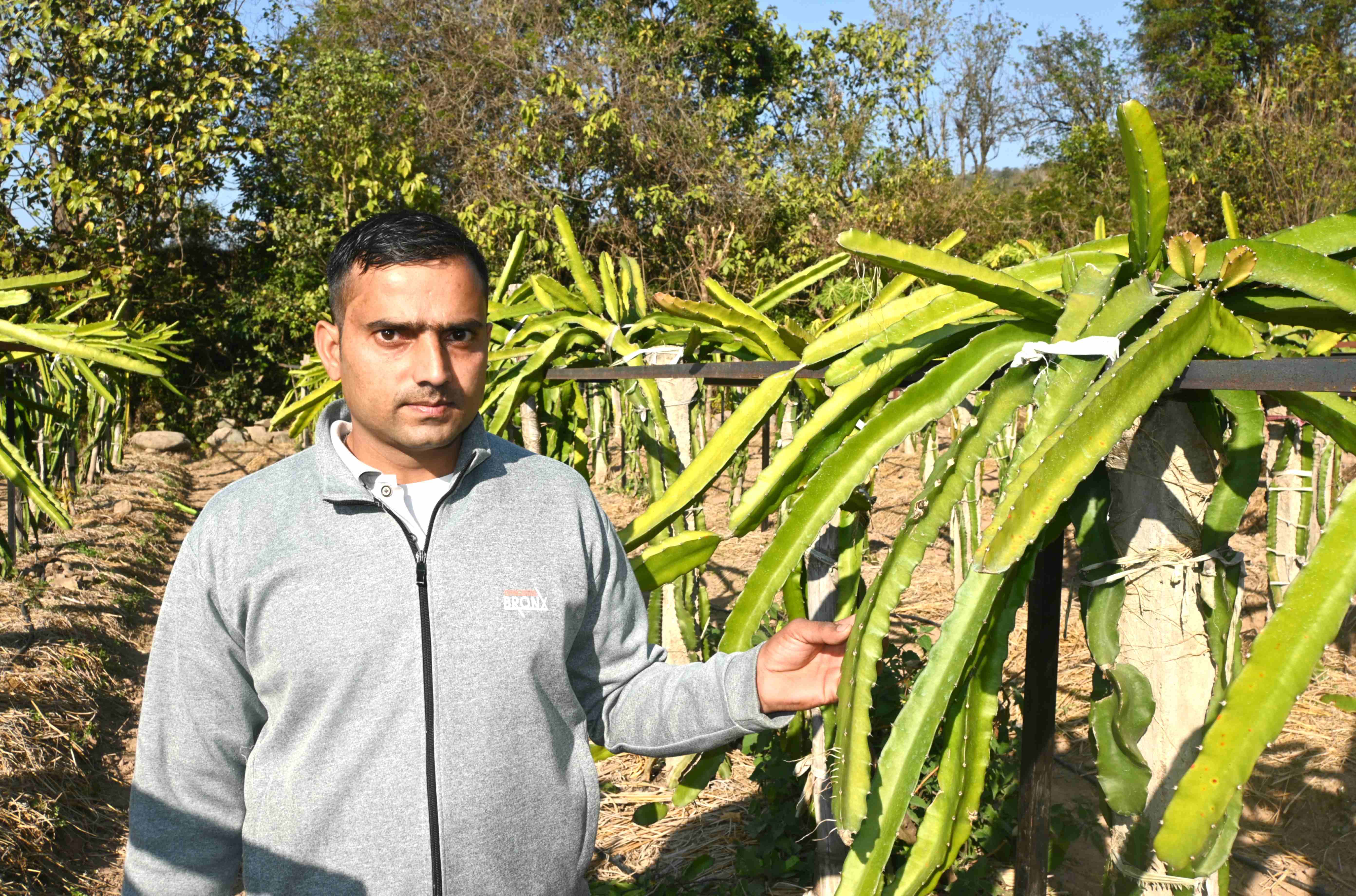 ड्रैगनफ्रूट के खेत में अपनी फसल के साथ प्रेमचंद. ड्रैगनफ्रूट के खेत में अपनी फसल के साथ प्रेमचंद.