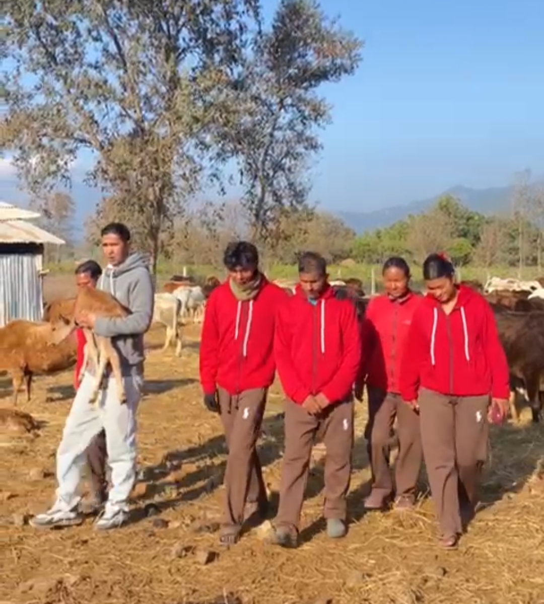 Gau Seva karte Nepali Gau Seva karte Nepali