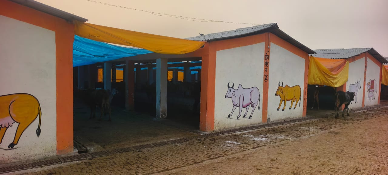 गौशाला