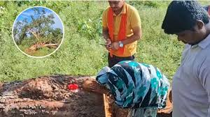 छत्तीसगढ़ के खैरागढ़ जिले के अपने हाथों लगाए पीपल का पेड़ कटने पर रोती महिला