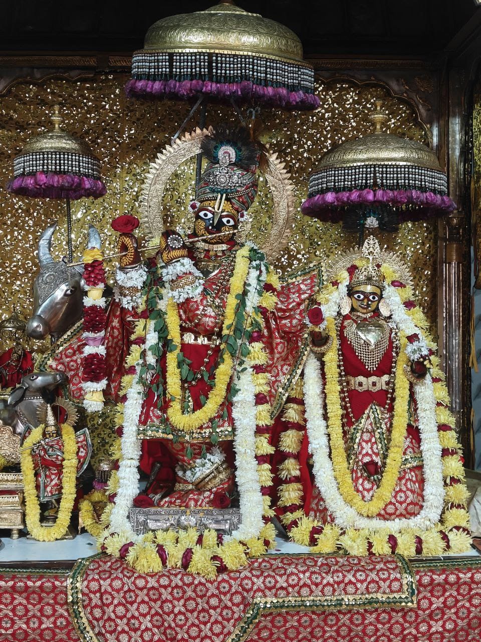 गोविंददेवजी मंदिर में बुधवार को मनाई जाएगी पुत्रदा एकादशी गोविंददेवजी मंदिर में बुधवार को मनाई जाएगी पुत्रदा एकादशी