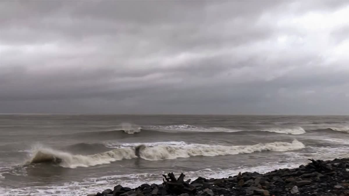 चक्रवात 'मोंथा' ने मचाई तबाही, दक्षिण-पूर्वी भारत में भारी बारिश की चेतावनी, तमिलनाडु के दो जिलों में स्कूल बंद, 60 ट्रेनें रद्द