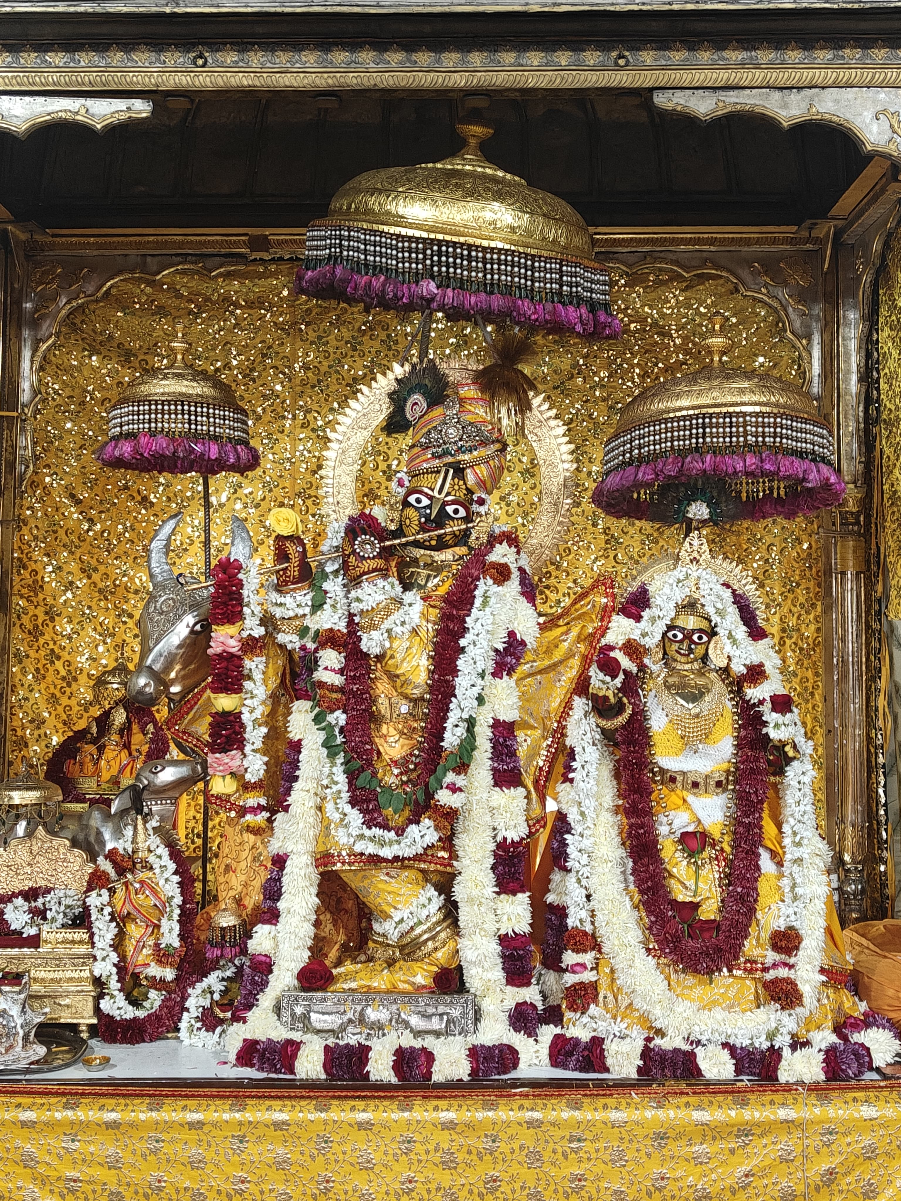 नव वर्ष पर मंदिरों में भीड़: गोविंद देवजी व मोती डृंगरी गणेश मंदिर में लगा रहा भक्तों का तांता